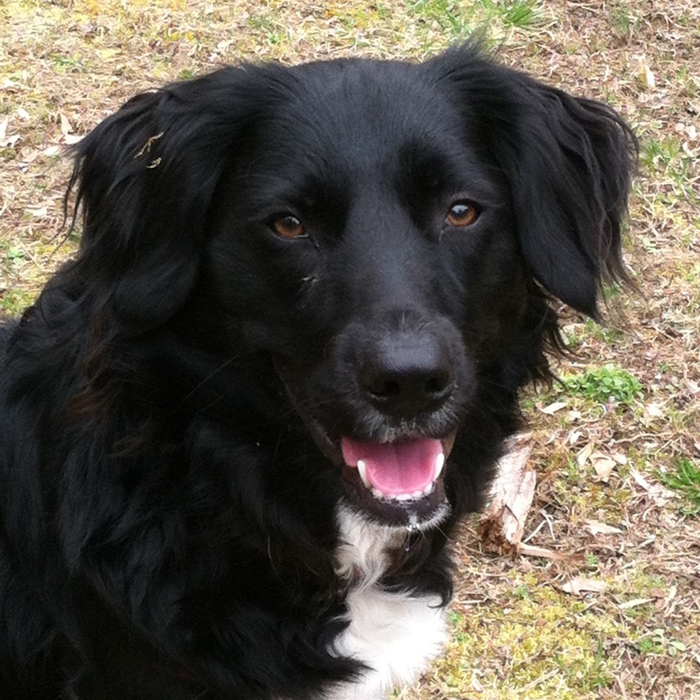 Meet your Posher, Shelly
